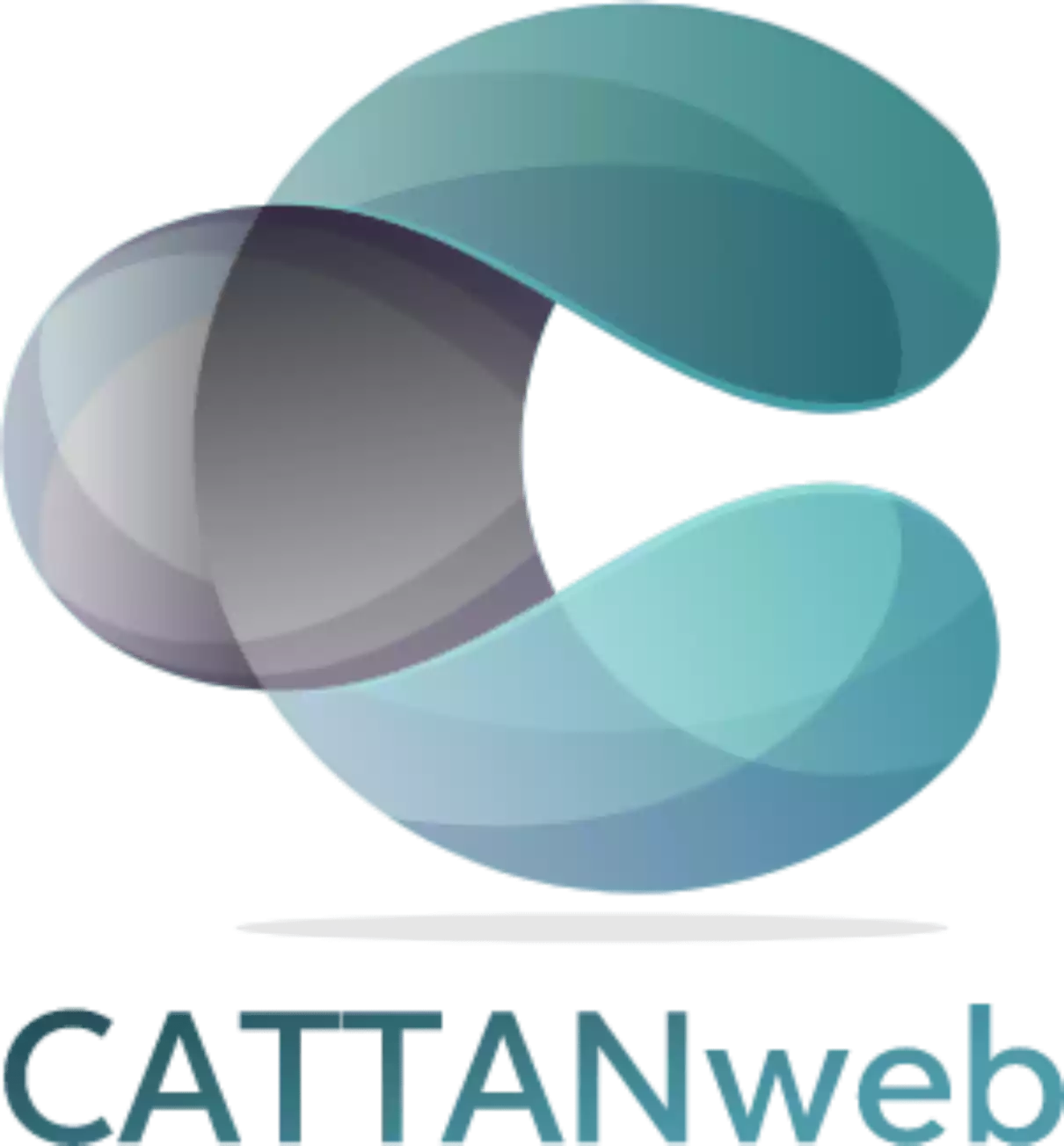 logo cattanweb